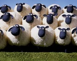 Shaun the Sheep Season 5