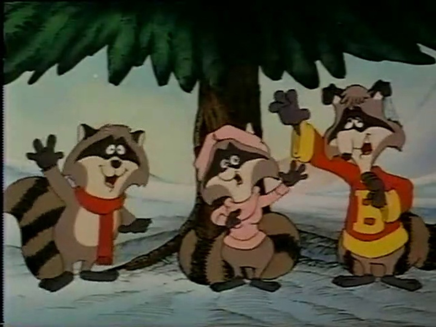 The Christmas Raccoons