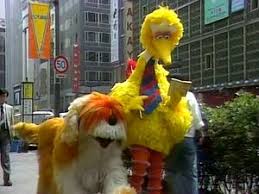 Big Bird in China