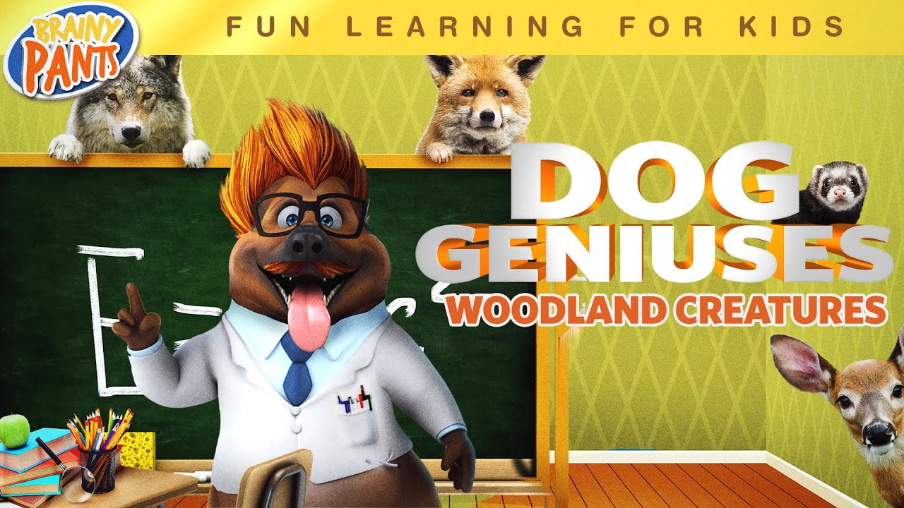 Dog Geniuses (2019)